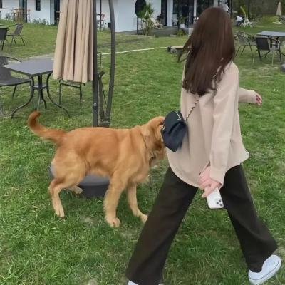 我哥我嫂