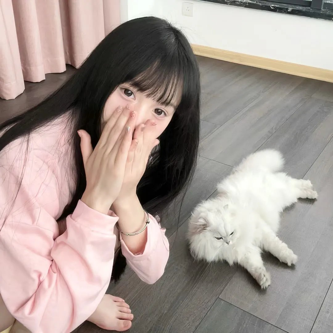 探戈纷乱
